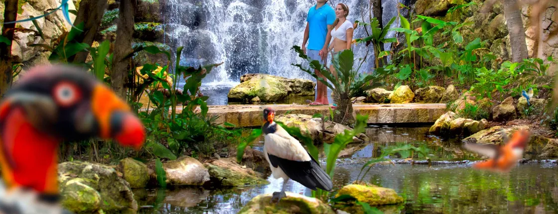 Xcaret Archaeological Park Ticket