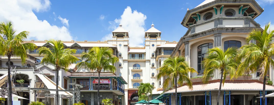 Mauritius half-day tour with Pamplemousse Garden and Port Louis