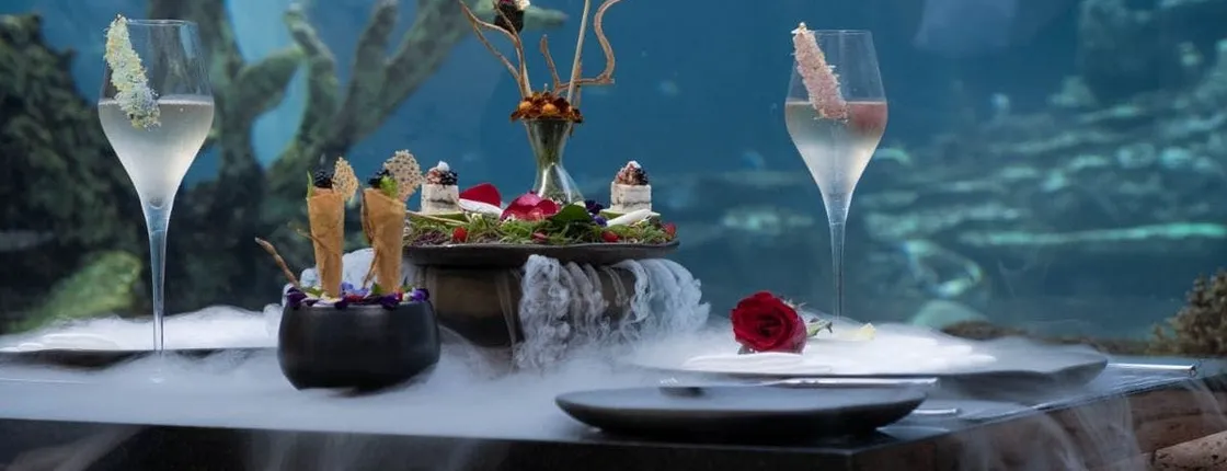 Lunch Experience at Koral Apurva Kempinski