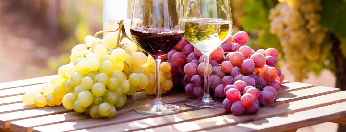 Classic tasting the essence of Mértola in three glasses