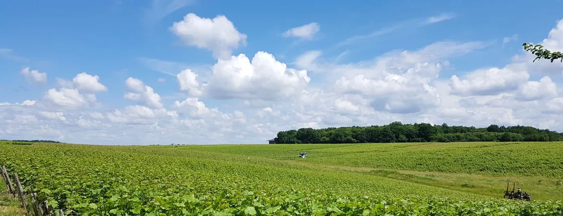 Loire Valley Day from Tours with Visit to Azay le Rideau and Villandry