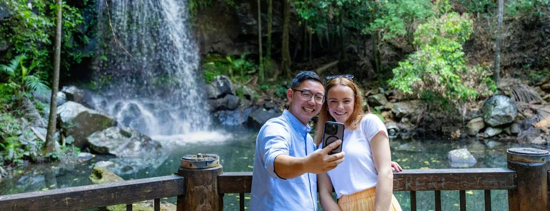 Guided rainforest tour on Tamborine Mountain and produce tastings