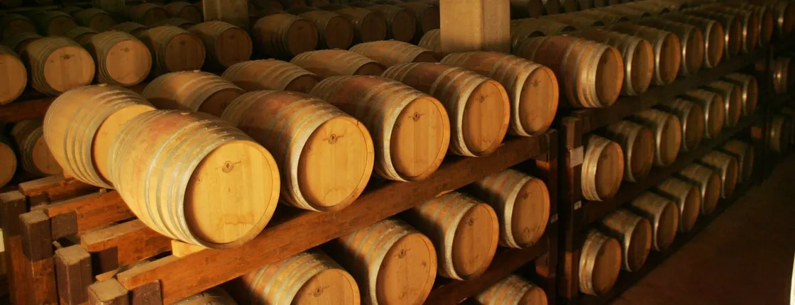 Visit of Argiolas Winery in Serdiana from Cagliari with tastings