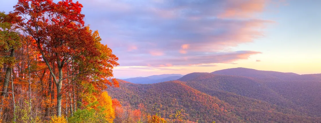 Shenandoah National Park Self-Guided Driving Audio Tour