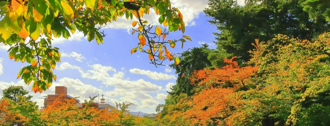 Private Aomori excursion to Hirosaki Castle and Apple Hill