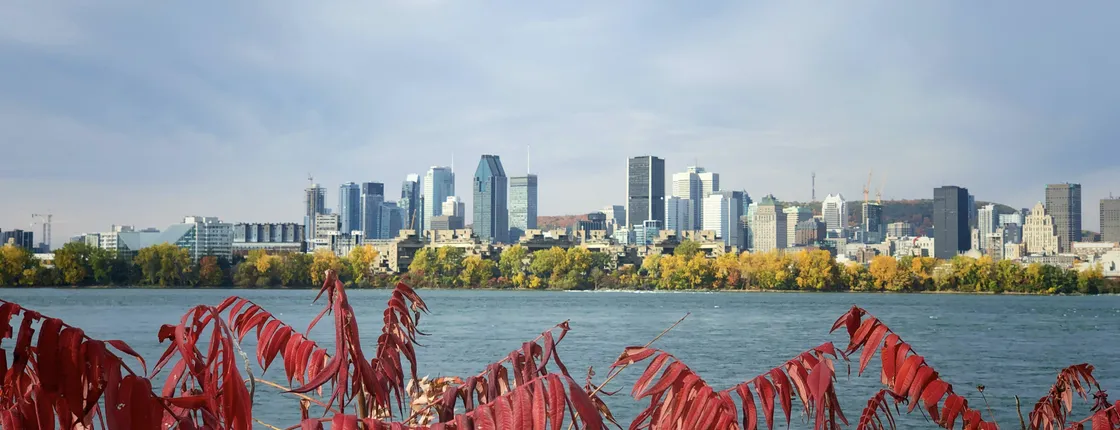 Montreal must-sees and hidden gems private walking tour