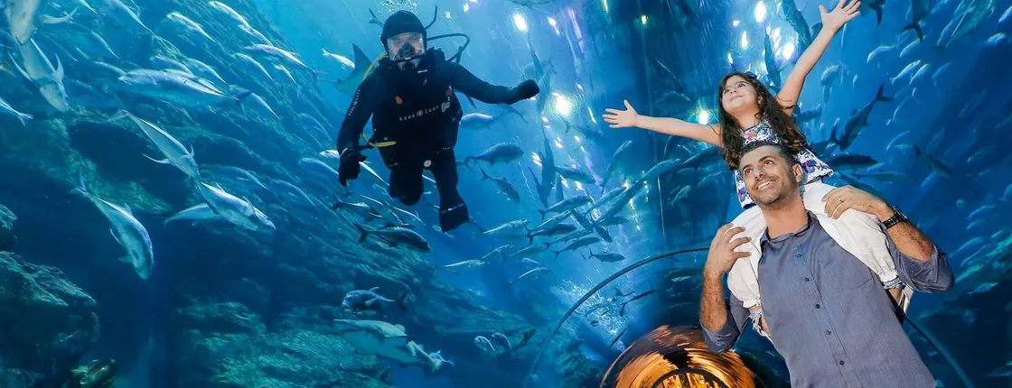 Dubai Aquarium and Underwater Zoo silver pass