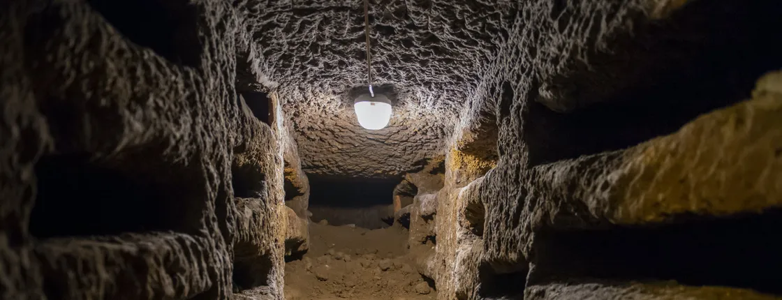Catacombs entry ticket and guided tour with transfer