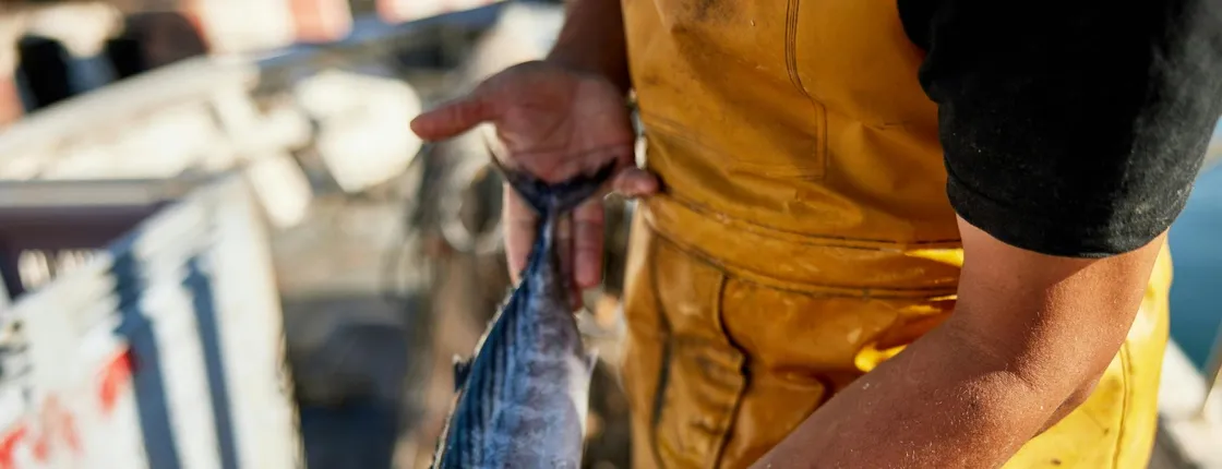Skiathos fishing experience - no transfer