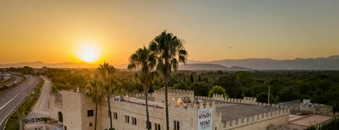 Premium winery tour with tasting