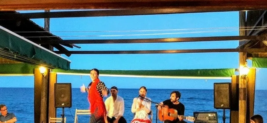 Flamenco sunset show and barbecue dinner in Marbella – ticket only