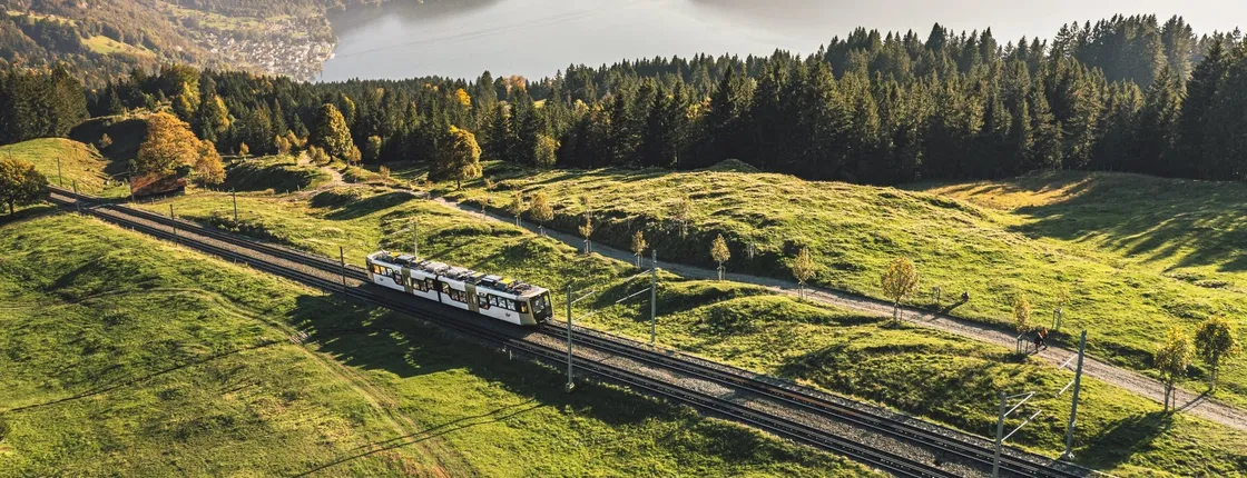 Mount Rigi cogwheel train ticket