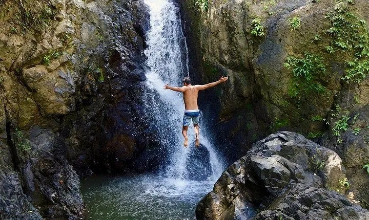 El Yunque Rainforest nature hikes with a local full-day tour