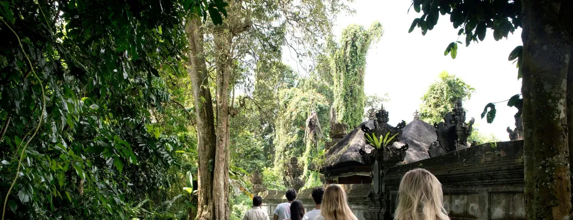 Tropical Hike to Taro with Lunch