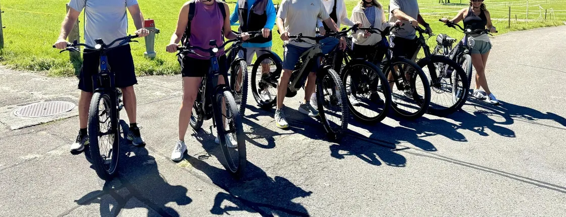 E-bike tour discovering Interlaken lakes and ruins
