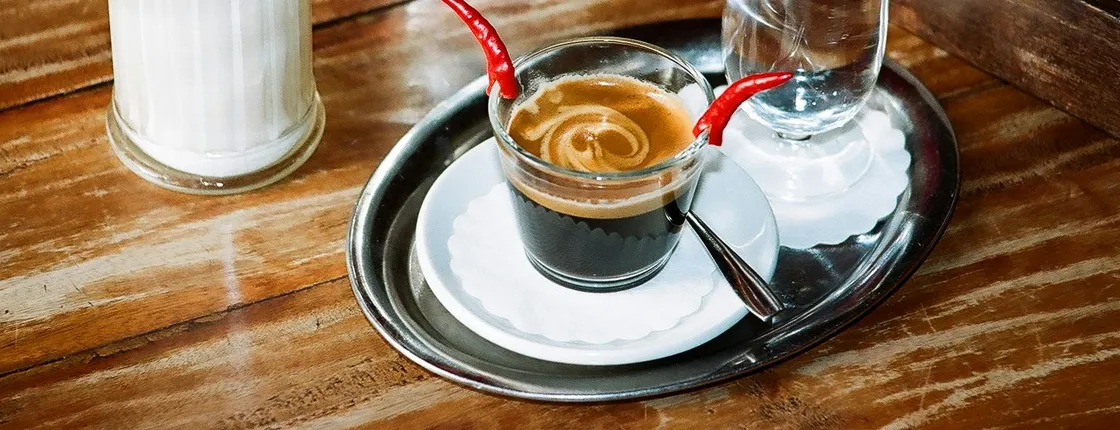 Vienna coffeehouse culture tour