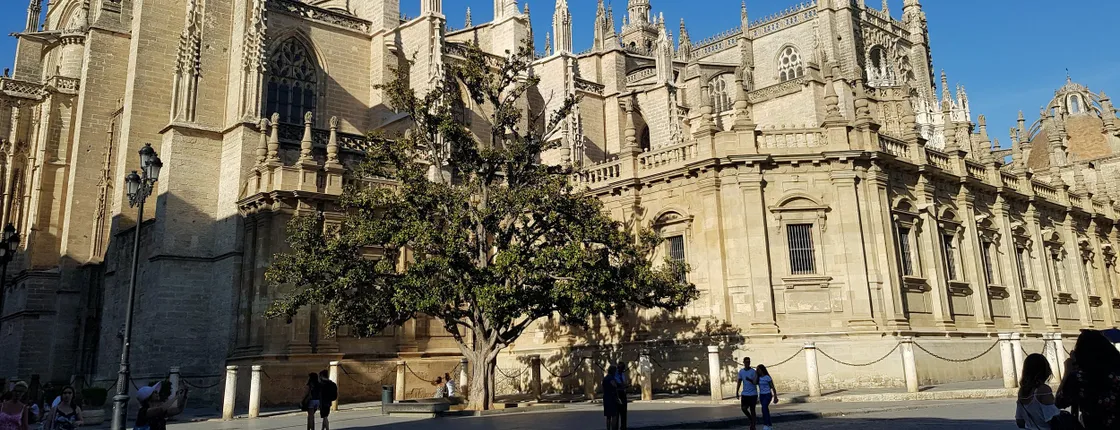 Sevilla Alcázar and cathedral guided tour with priority access tickets