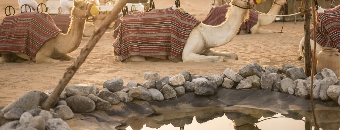 Bedouin culture safari from Dubai