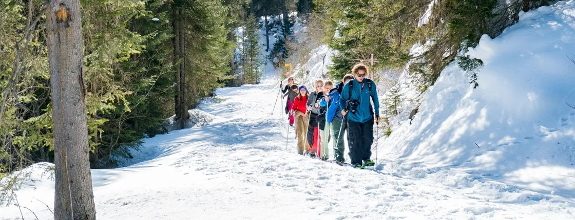 Interlaken snowshoe and sledding tour with cheese fondue