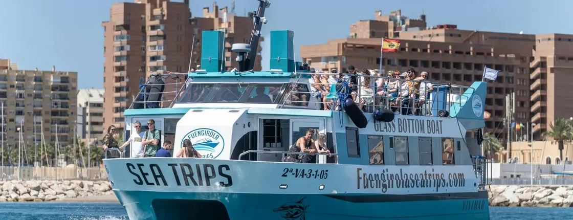 Dolphin watching catamaran cruise along Costa del Sol