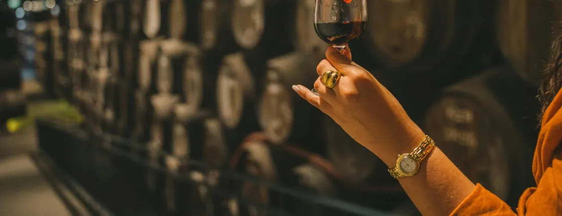 WOW day-pass with Taylor's Wine Cellar audio guided tour