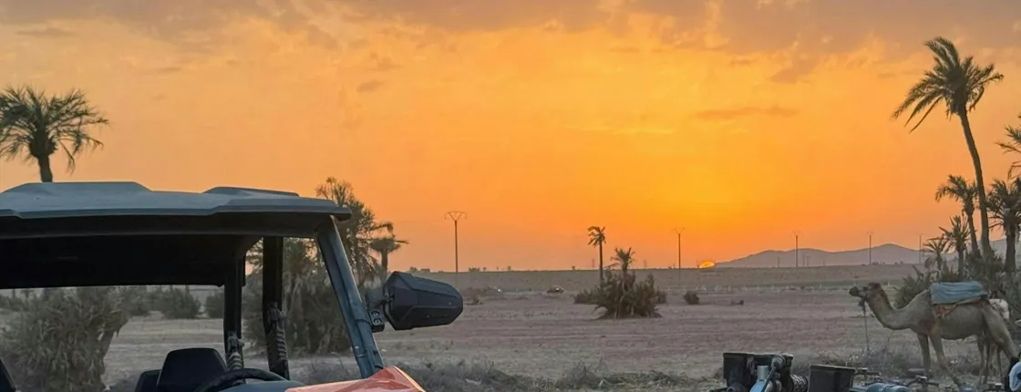 Marrakech 2-hour quad bike ride in the palm grove
