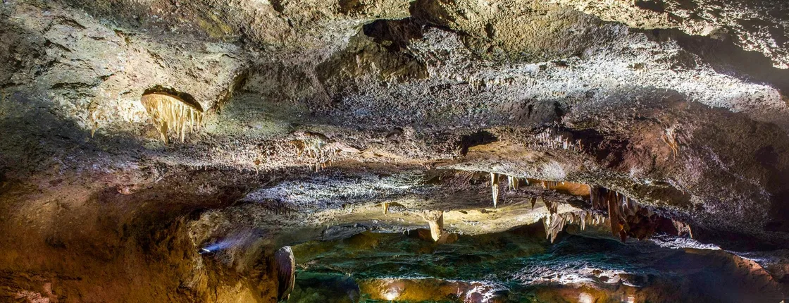 Excursion to the San José Caves from Valencia in French
