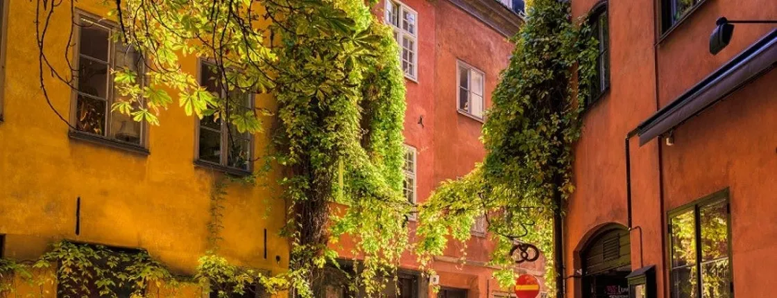 Classic Stockholm small group walking tour