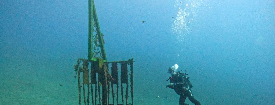 Abades Bay Individual Dive Experiences