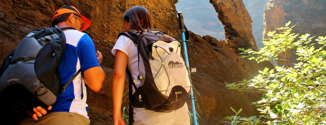 Guided exploration of Masca Gorge in Tenerife