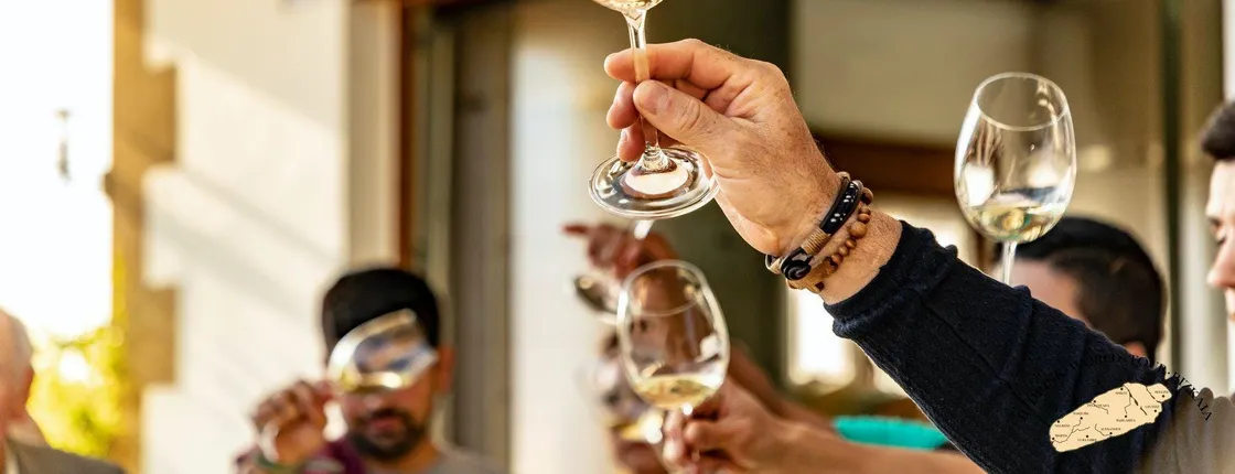 Txakoli wine house visit with tasting in a small-group