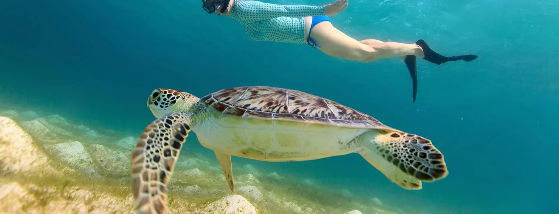 Bali Blue Lagoon snorkeling excursion with Tegenungan Waterfall