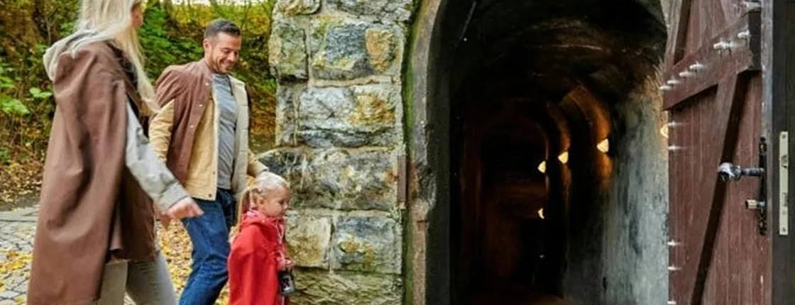 Fairy Grottoes combo ticket with family tour and forest adventure