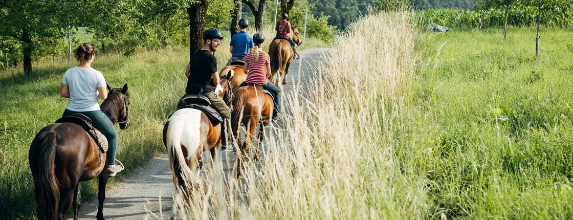 Horse ride experience through the Brenta Dolomites