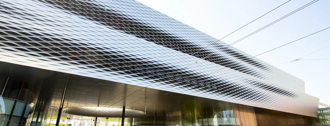 Explore Basel's art and culture with a local