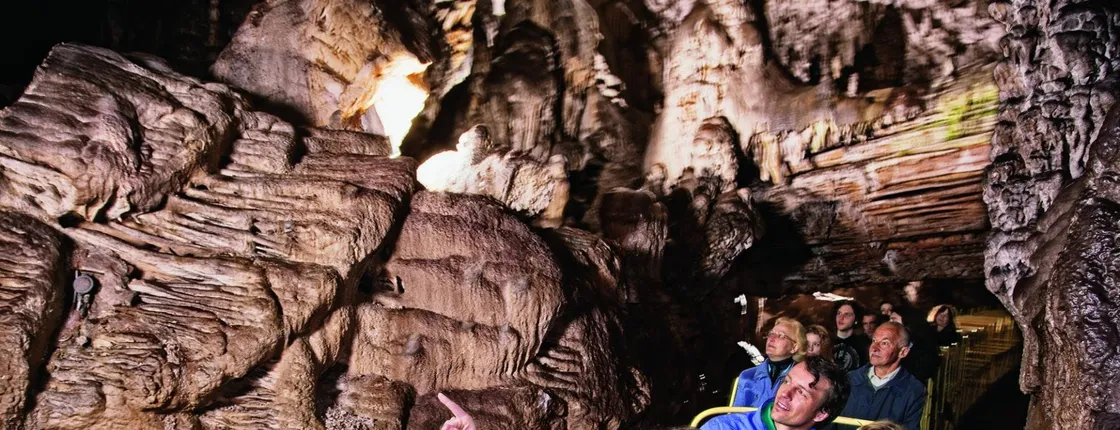 Lake Bled and Postojna Cave full-day tour from Ljubljana