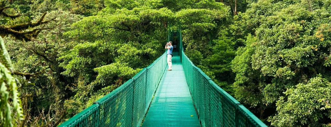 Selvatura Park Zipline, Hanging Bridges & Sloth Sanctuary with Transfer