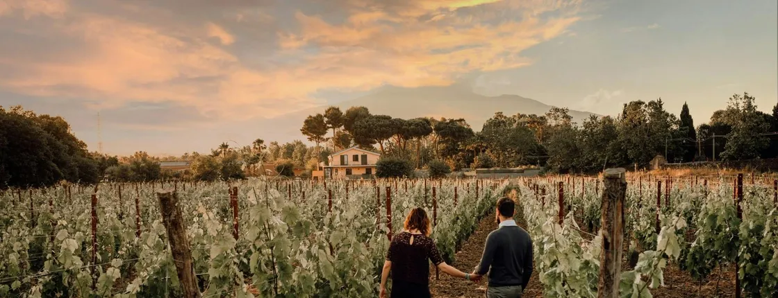Sunset vineyard walk and gourmet wine pairing dinner in Sicily
