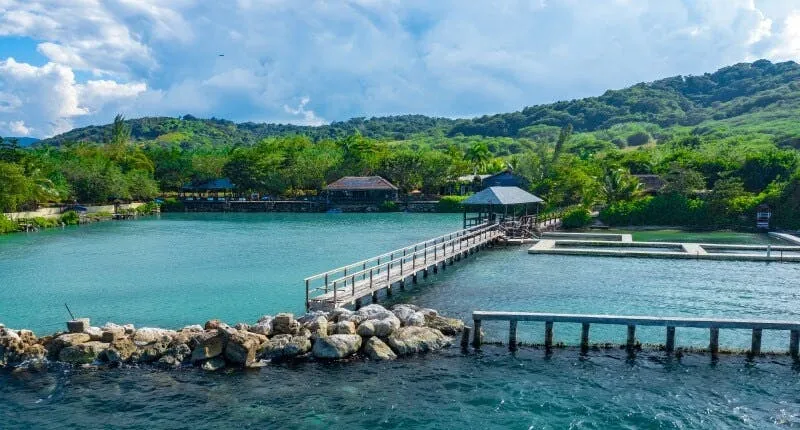 Dolphin Cove Montego Bay regular tour