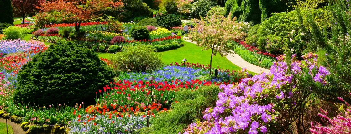 Sightseeing tour of Victoria and Butchart Gardens from Vancouver