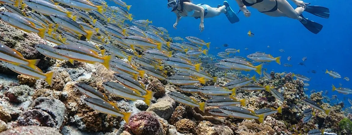 Full-day snorkelling and yacht adventure in Racha Island