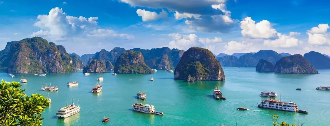 Full-Day Halong Bay, Surprising Cave and Titop Island Guided Tour
