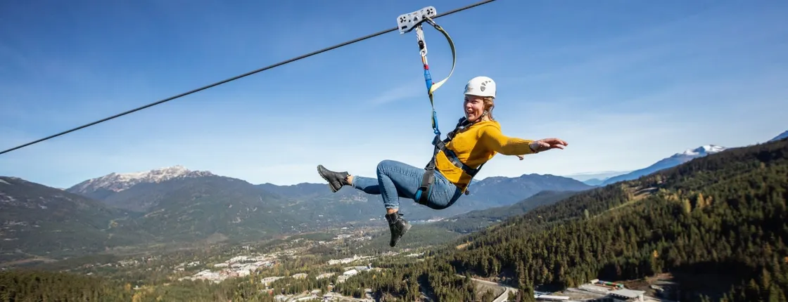 Bear zip tour in Whistler