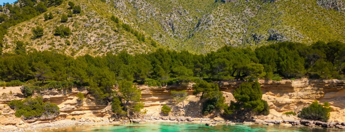 Levante Natural Park boat trip
