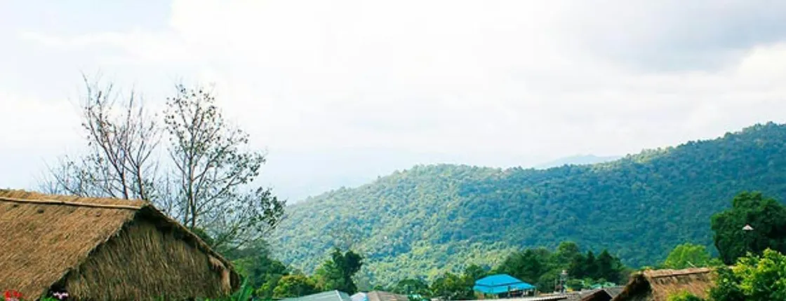 Half-day private van tour to Doi Suthep and Doi Pui Hmong Village from Chiang Mai