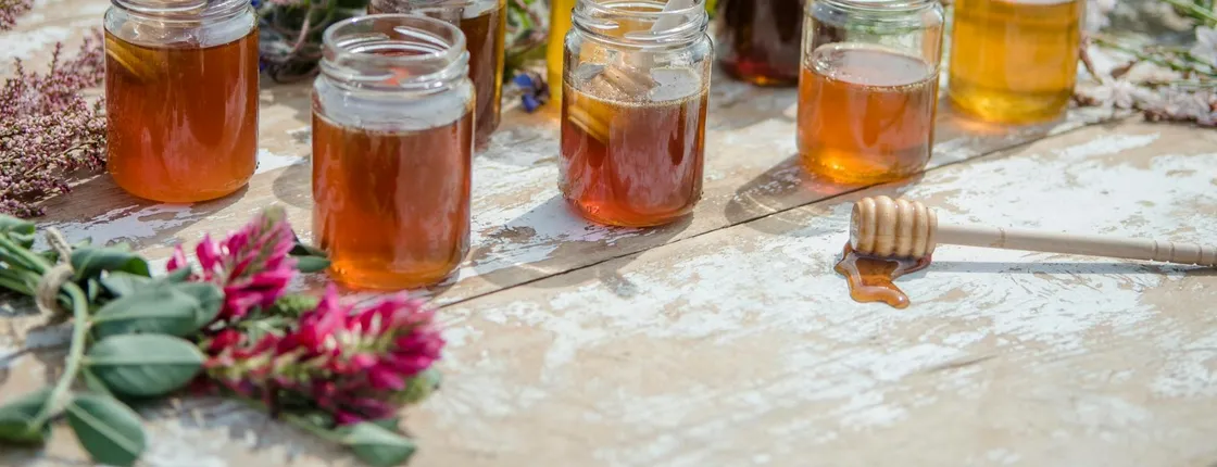 Beekeeping experience and honey-tasting in Menorca