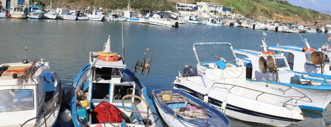 Boat tour of Selinunte with swim stop and optional lunch