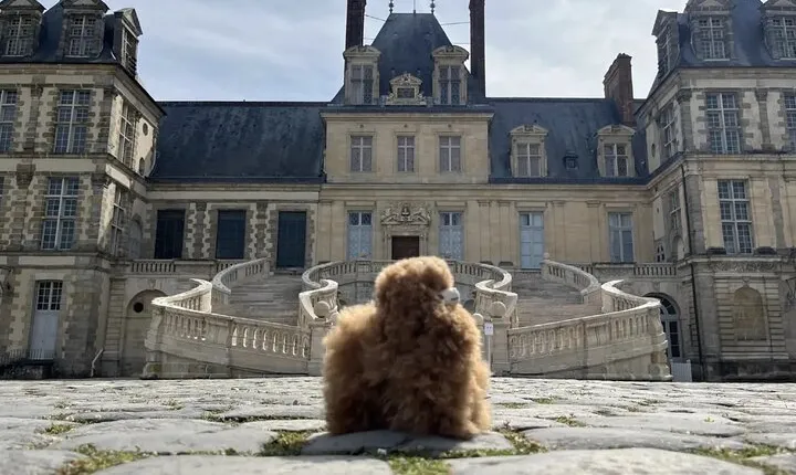 Château de Fontainebleau and Barbizon Village Full Day Tour