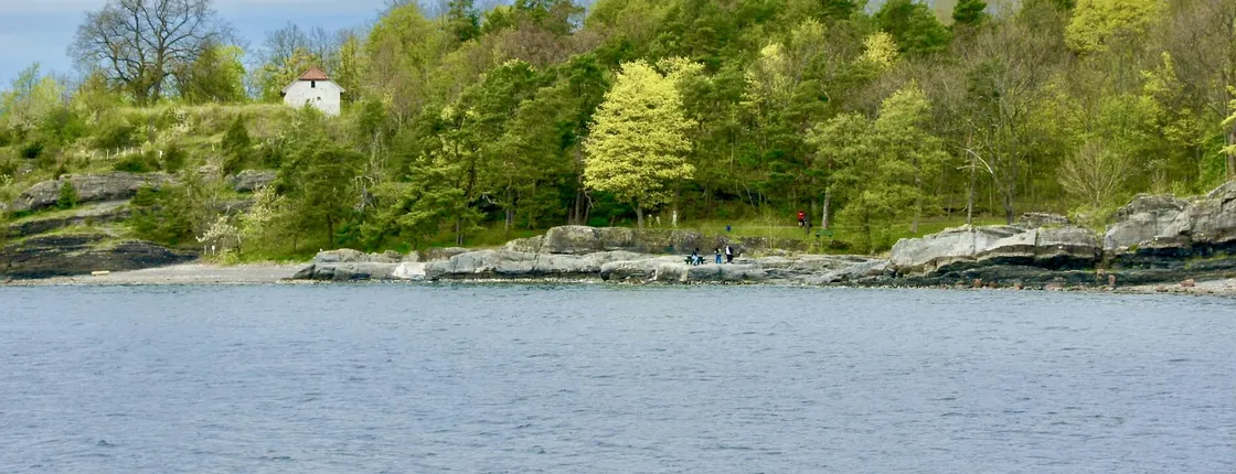 The five pearls of the Oslofjord full-day guided tour