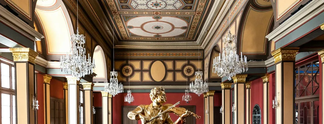 Johann Strauss Museum and Original Hall 1837 entrance ticket